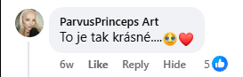 Recenzia de pe Facebook nr. 19